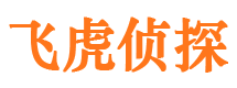 蚌山市私家侦探